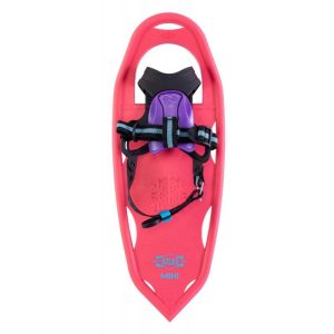 Atlas Mini 17″ Truge Coral